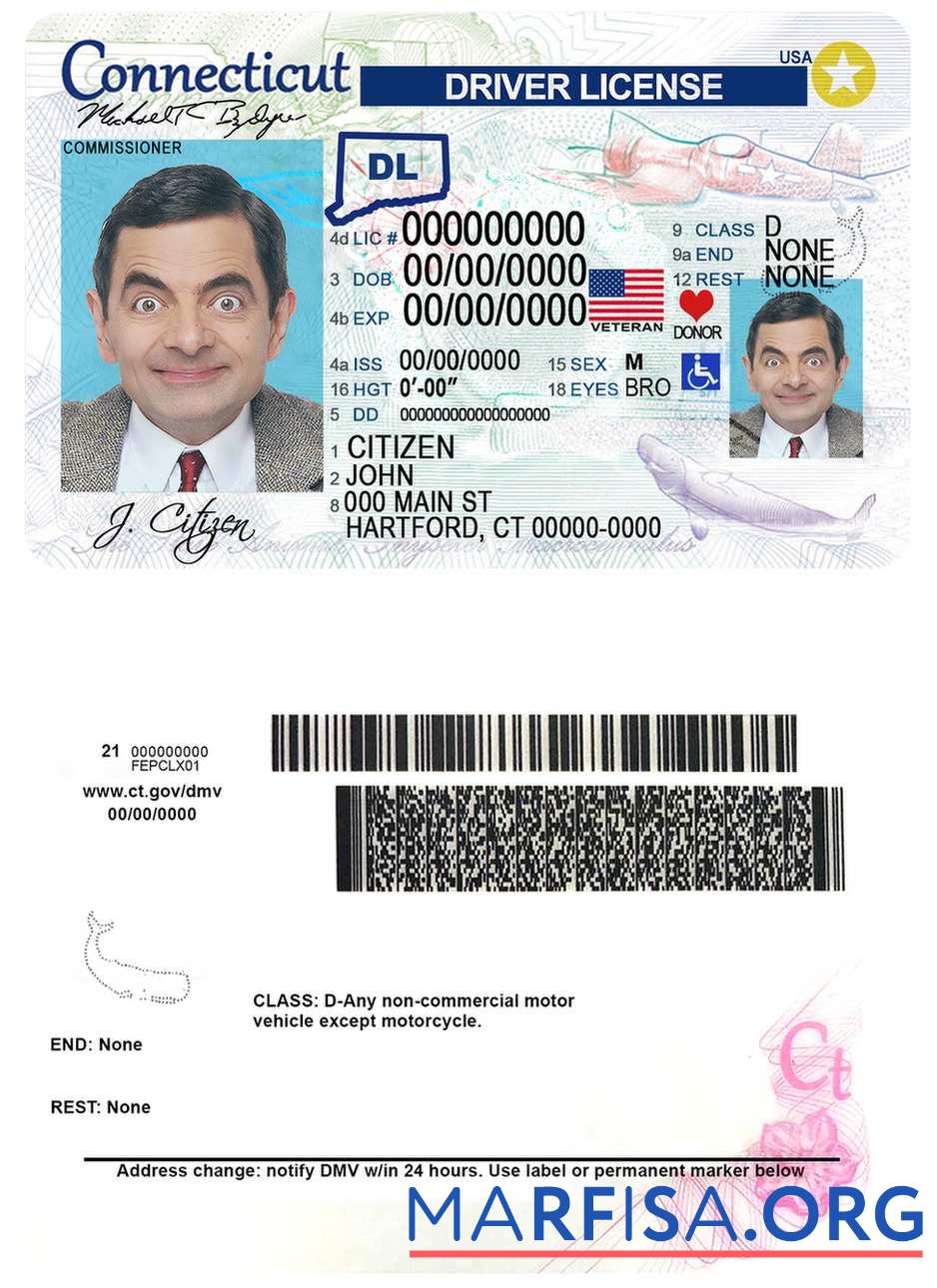 Printable USA Connecticut driving license sample